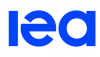 IEA опублікувало перше видання «Огляду ринку важливих мінералів»