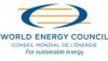 Разведанных запасов нефти хватит на 56 лет, газа — на 55 лет — World Energy Council