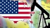 В США внутренняя добыча нефти впервые за 18 лет превысила импорт