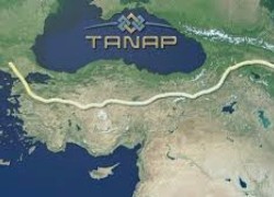Украина рвется строить TANAP
