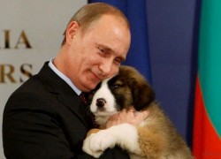 Путин похоронил газовые надежды Украины