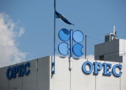 ОПЕК прогнозирует мировой рост спроса на нефть