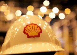 Shell опровергла информацию о бурении скважины