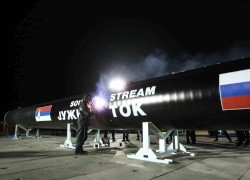 Строить «Южный поток» в Болгарии хотят 11 компаний