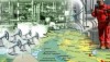 Фирмы Фирташа, Кацуба и Курченко связанные с вымыванием денег с «Укргаздобыча»