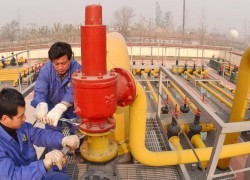 Эксперты подсчитали примерную базовую цену на газ по контракту «Газпрома» и CNPC