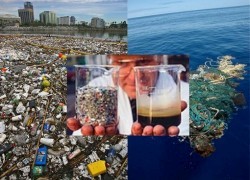 В Британии планируют полететь на топливе из мусора