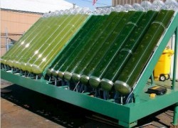 Украина пообещала производить 30-40 млрд куб. м биотоплива