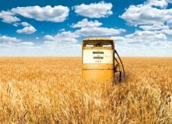Украине стоит сориентироваться на биотопливе, — И. Швайка