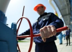 Польша оставила Украину без реверсного газа