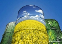 Правительство уровняло «альтернативу» с газом