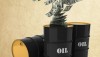 Нефть, ты куда?