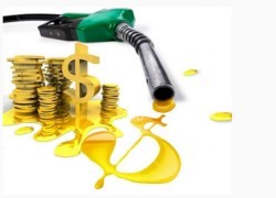 Служба автомобильного транспорта СБУ хочет купить топлива на 27 миллионов