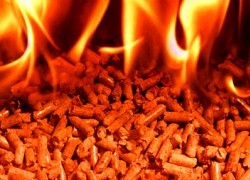 Госуправделами в 2015 году переводит на альтернативное топливо 11 своих предприятий