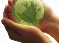 Биоэнергетическая ассоциация рассказала о достижениях в 2014 году