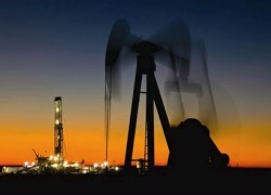 Компании Ставицкого запретили добывать нефть и газ