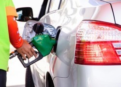 За неделю топливо на АЗС подешевело