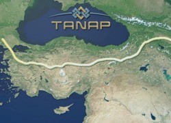 В Турции начинается строительство газопровода TANAP