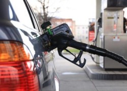 ДТ евро и сжиженный газ на АЗС за день подешевели, бензины и ДТ — на прежнем уровне