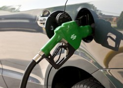 Цены на бензины на АЗС компании ОККО за день выросли