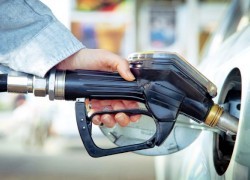 Среднерозничные цены топлива стабильны с тенденцией к повышению