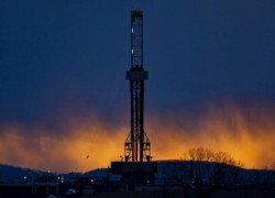 Shell нацелилась на выход из Украины или глобальный пересмотр проектов?