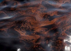 Пятно нефтепродуктов у берегов Одесской области самоликвидировалось