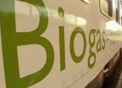 На Ивано-Франковщине построят крупнейший в Украине биогазовый завод