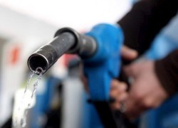 За неделю ДТ и ДТ евро на АЗС подешевело, а сжиженный газ подорожал