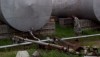 На Луганщине обнаружены два нелегальных нефтепровода