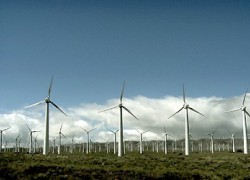 В Украине заработали новые «зеленые» тарифы на электроэнергию