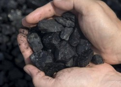 Украина купила угля у фирмы террористов на 150 миллионов