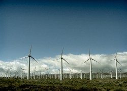 Украинское законодательство может похоронить сектор ВИЭ