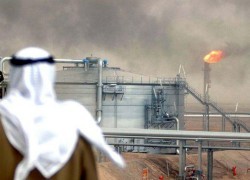 Выход Саудовской Аравии на нефтяной рынок Европы – вызов для РФ, — Новак