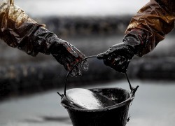 Сворачивание нефтяных забастовок в Кувейте дало свои результаты