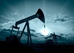 Товарные запасы нефти в мире подскочили до рекорда и будут сдерживать рост цен — МЭА