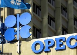В ОПЕК не договорились о долгосрочной стратегии