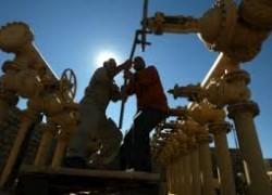 Royal Dutch Shell Plc начнёт добывать нефть в Ираке