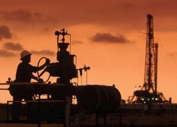 Рынку нефти необходимо не сокращение добычи, а ненаращивание производства, — Минэнерго РФ