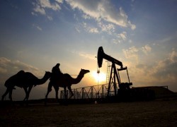 ОПЕК рассчитывает на нефть по $160 через 25 лет