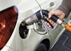 ДТ евро продолжает набирать цену, СПБТ – дешевеет