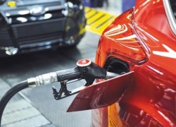 Розничные цены ДТ растут, сжиженного газа — снижаются