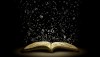 Черная тень Белой книги