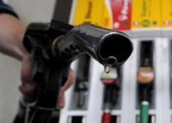 Бензины и ДТ евро на АЗС продолжают рост