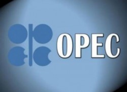 ОПЕК прогнозирует сокращение избыточного предложения нефти