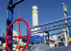 Глава «Укргаздобычи» заявил об аресте ГФС имущества на 1,8 млрд грн