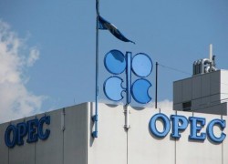 ОПЕК прогнозирует рекордный спрос на нефть в 2017 году