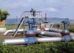 Беларусь повысила тарифы на транспортировку нефти в 1,5 раза