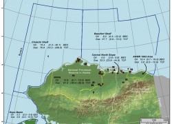 На Аляске обнаружено крупное месторождение нефти