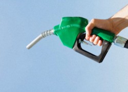 Бензин А-95 премиум на АЗС за неделю +0,8%